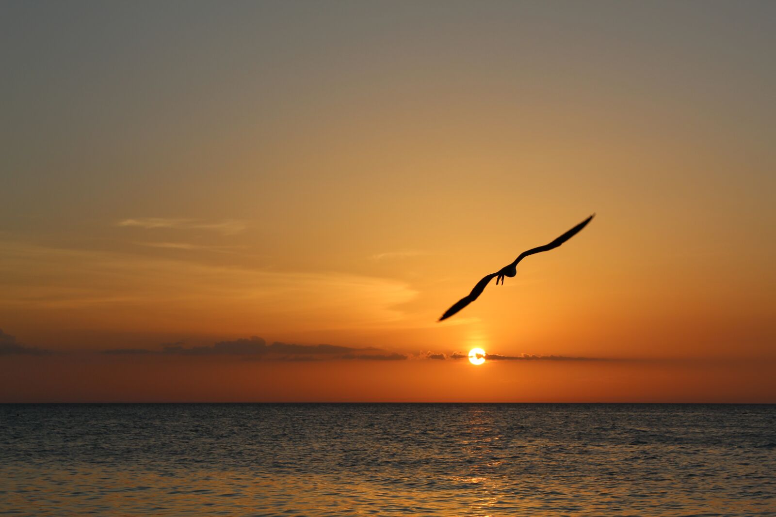 Canon EOS 1300D (EOS Rebel T6 / EOS Kiss X80) sample photo. Beach, sunset, sea photography