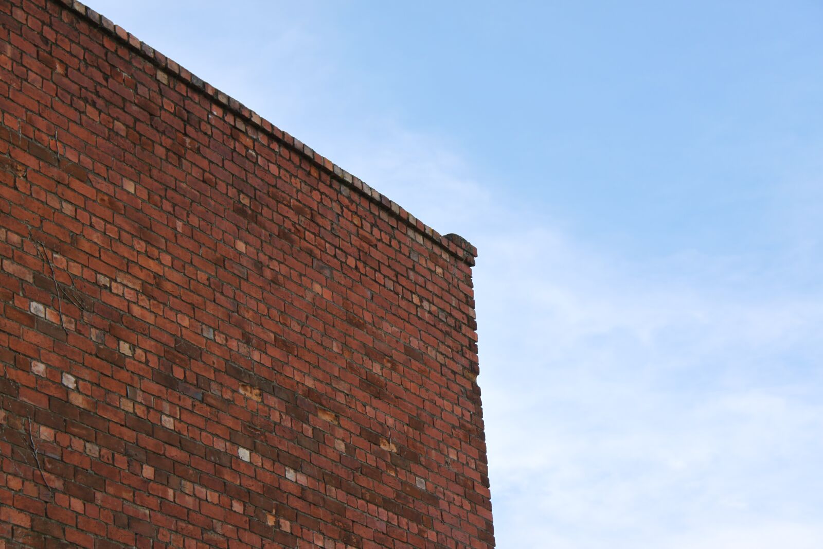 Canon EOS 500D (EOS Rebel T1i / EOS Kiss X3) sample photo. Brick, building, wall photography