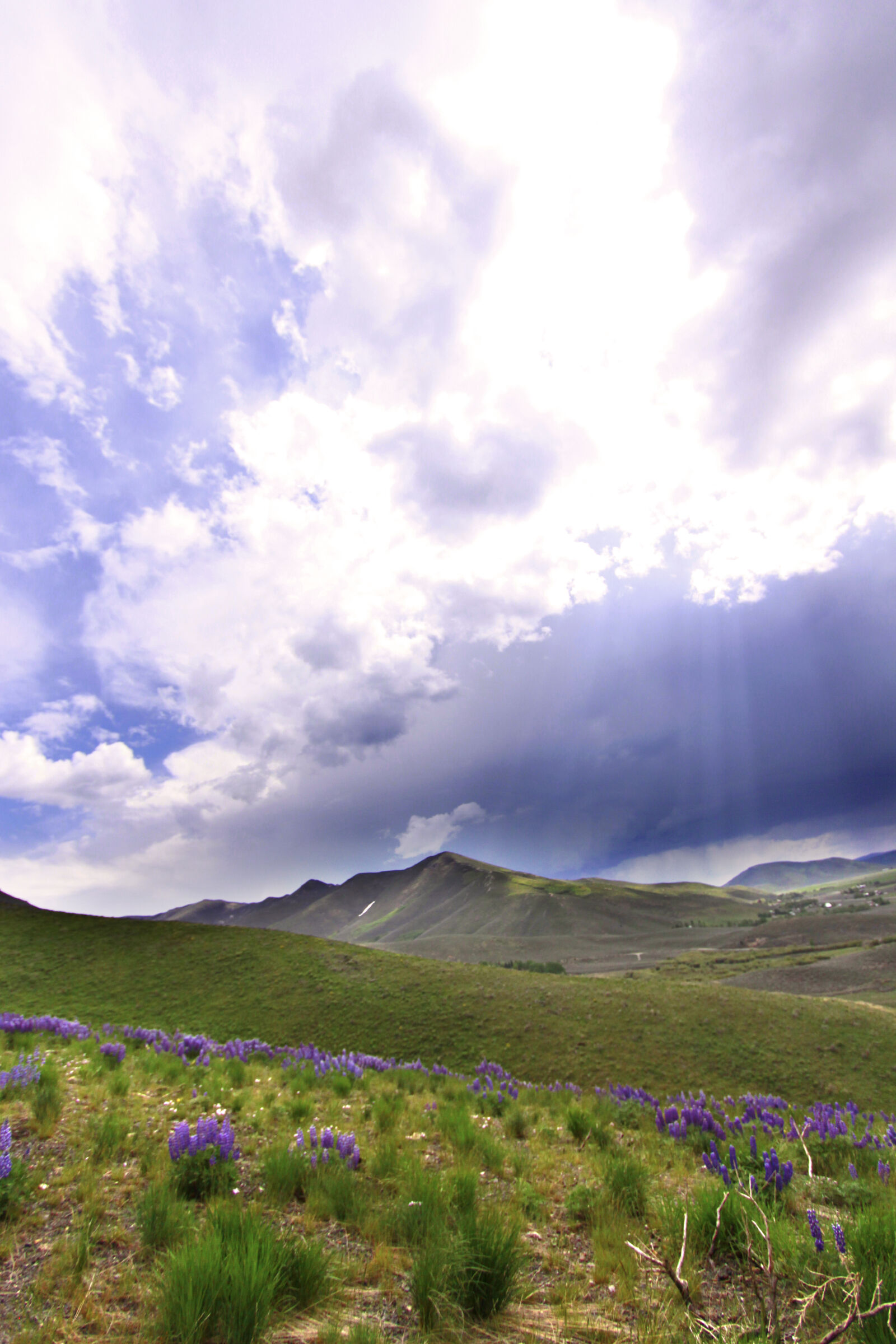 Canon EOS 50D sample photo. Idaho, landscape, mountains, purple photography