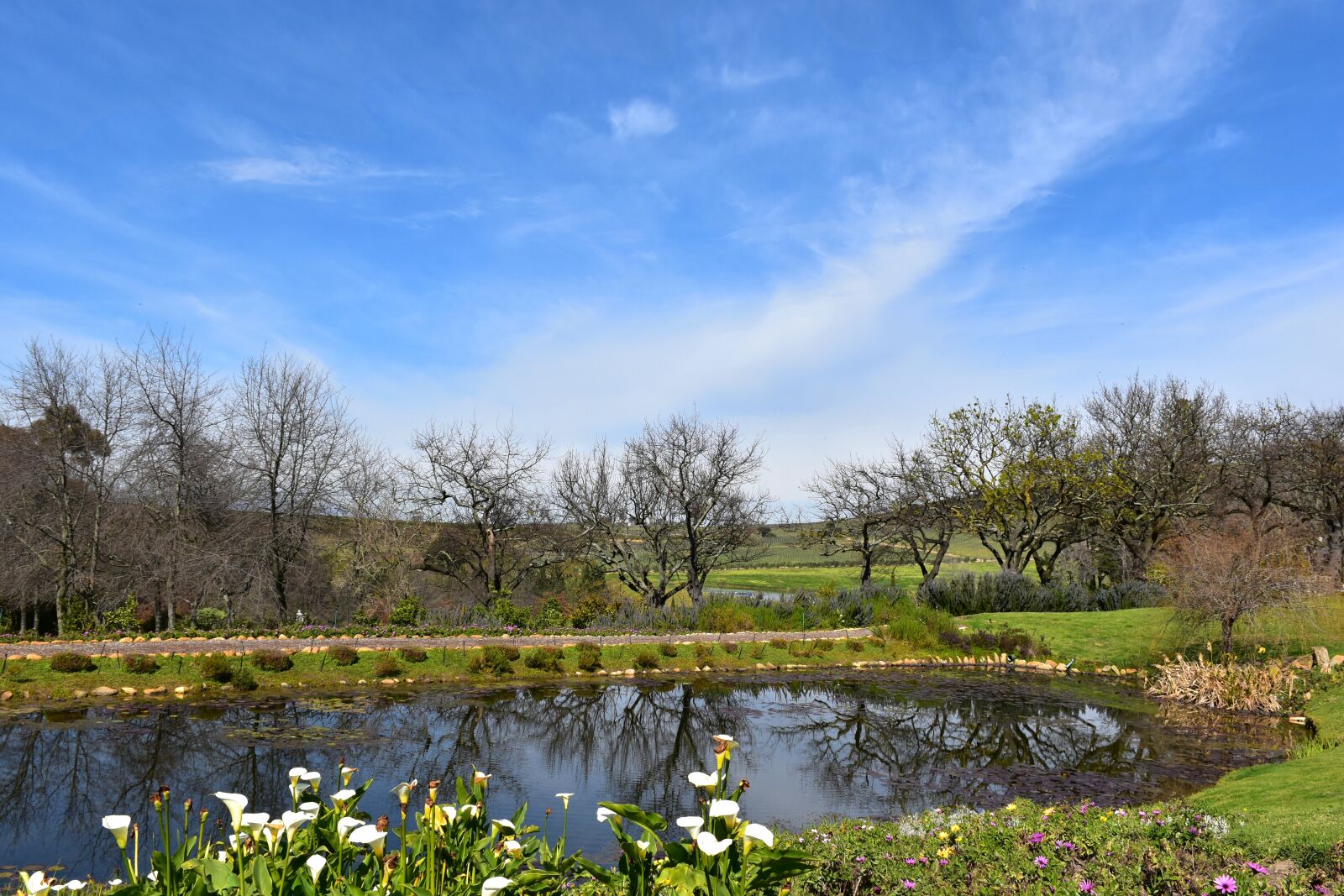 Nikon D5500 sample photo. Winter, winelands, dam photography