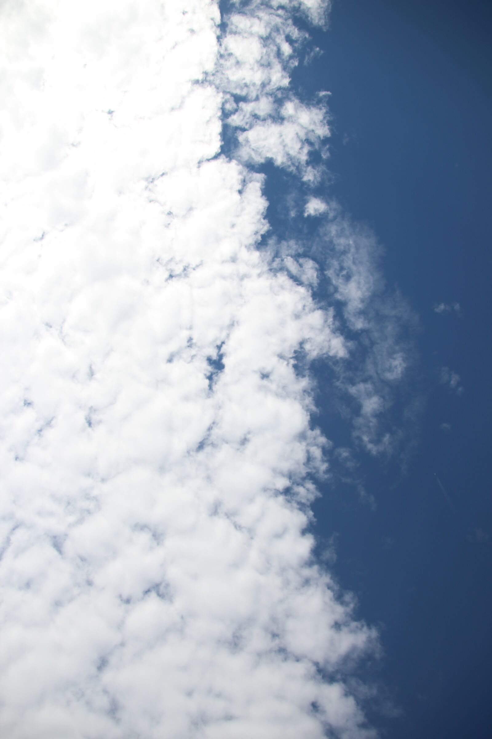 Canon EOS 600D (Rebel EOS T3i / EOS Kiss X5) sample photo. Sky, ascension, clouds photography