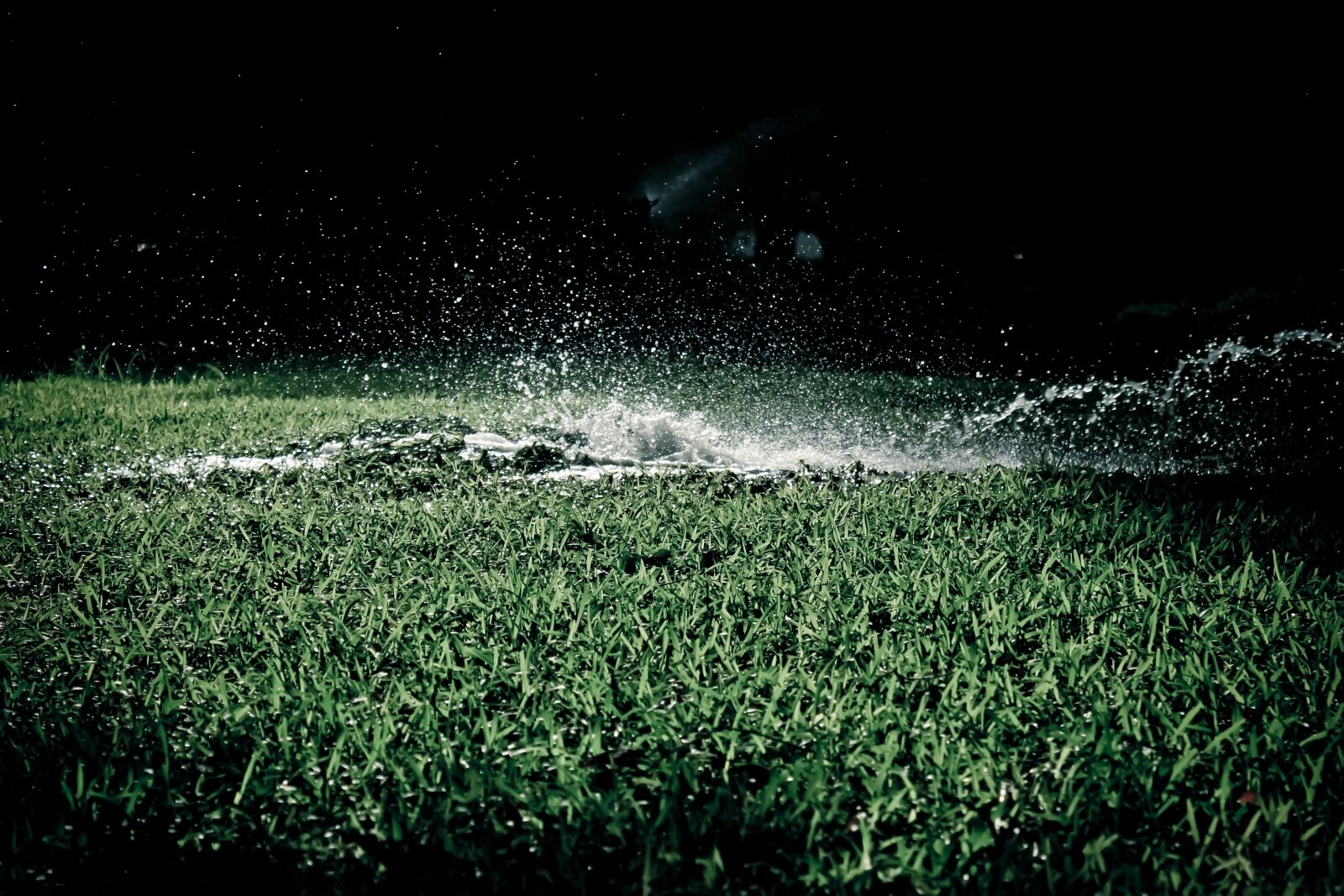 Canon EOS 550D (EOS Rebel T2i / EOS Kiss X4) sample photo. Green, water, grass photography