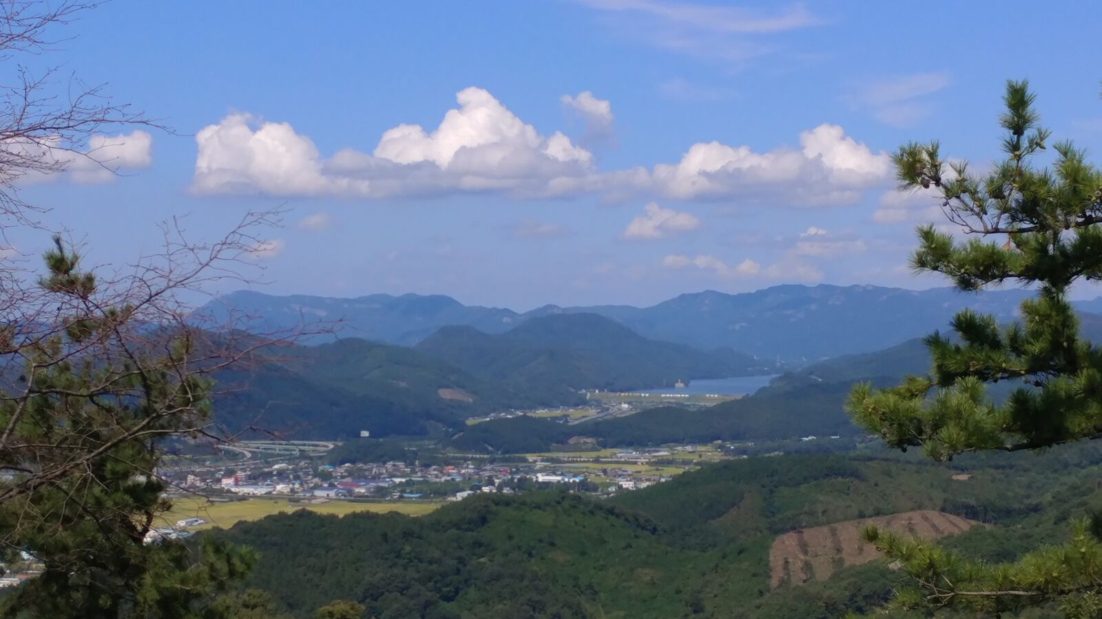 LG V20 sample photo. Forest, nature, hometown photography
