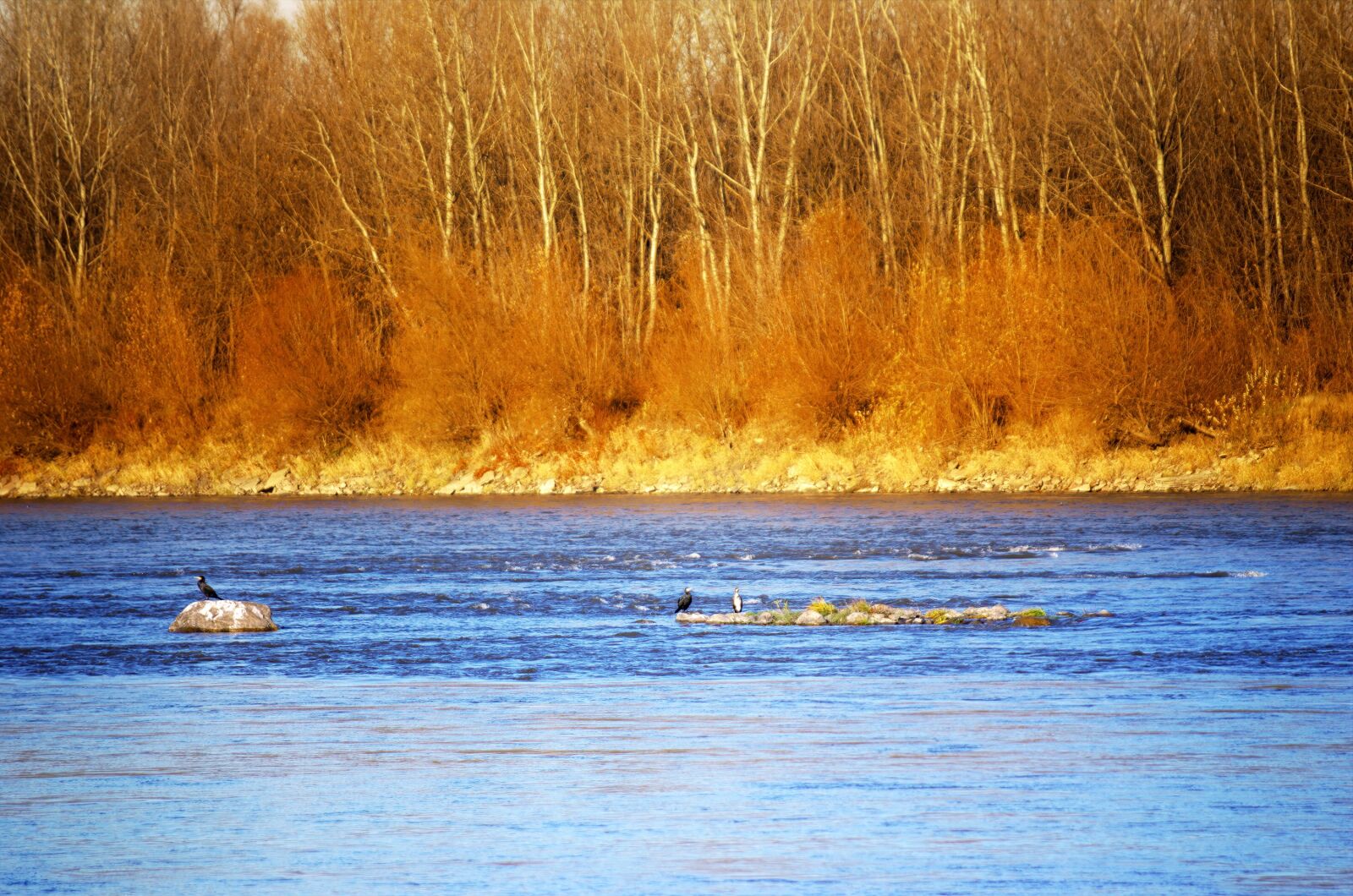 Nikon D5100 sample photo. Landscape, nature, river photography