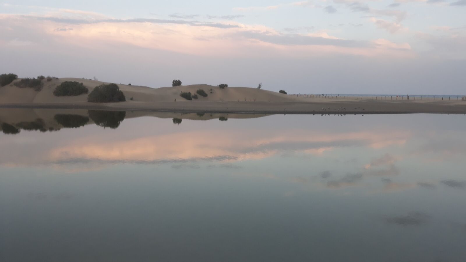 Samsung Galaxy J5 sample photo. Charca, maspalomas, gran canaria photography