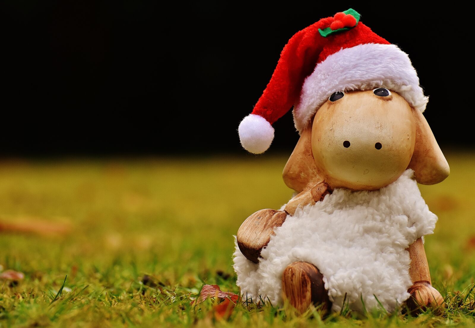 Nikon D7200 sample photo. Christmas, sheep, deco photography