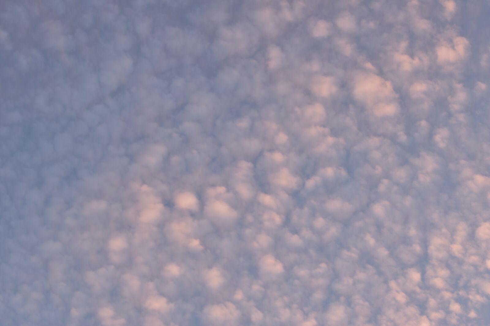 Nikon D5600 sample photo. Sky, clouds, cumulus clouds photography