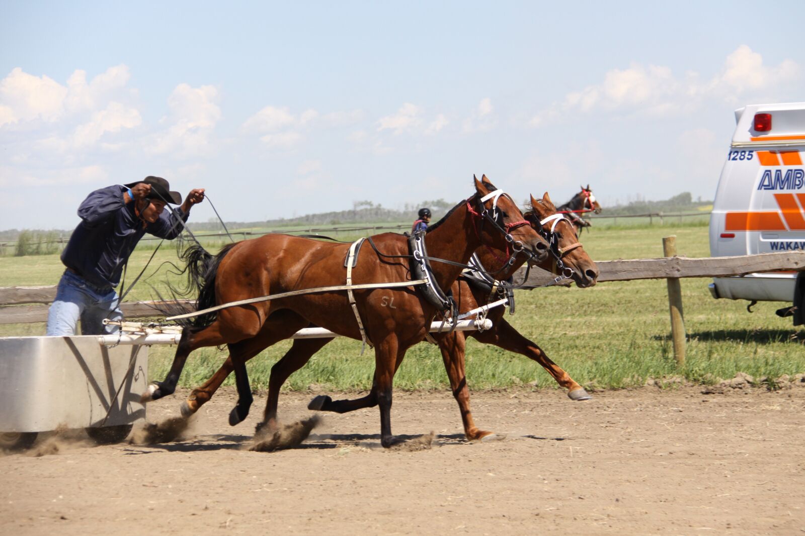 Canon EOS 50D sample photo. Horse, chariot, batoche photography