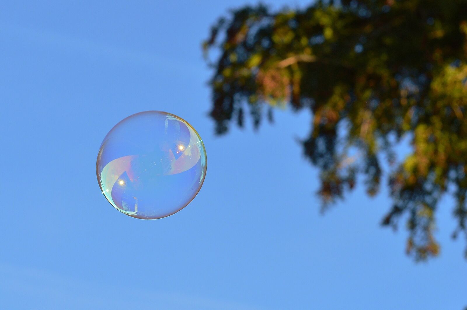 Nikon D3200 sample photo. Soap bubbles, colorful, balls photography