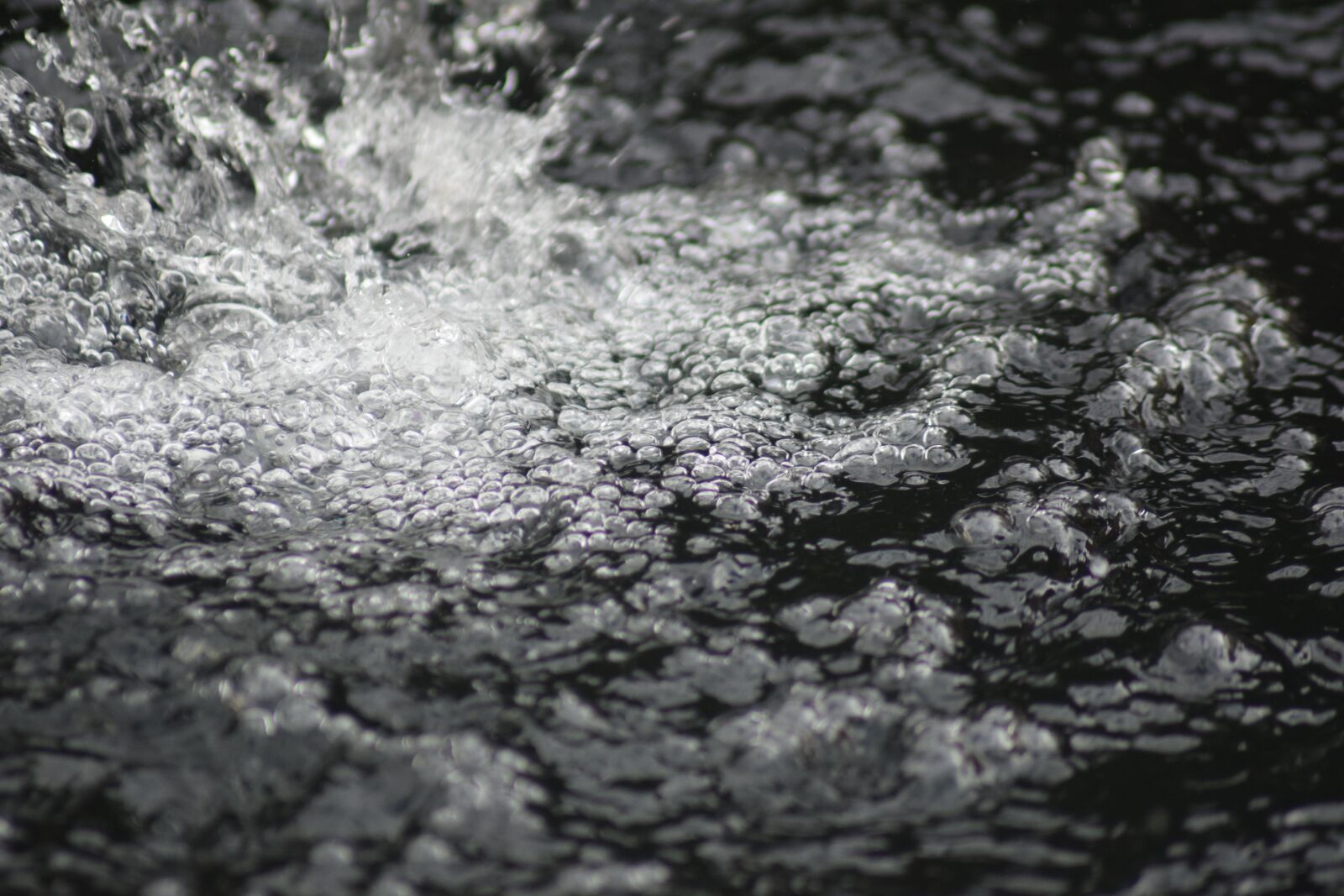 Nikon D3300 sample photo. Water, drop, drops photography
