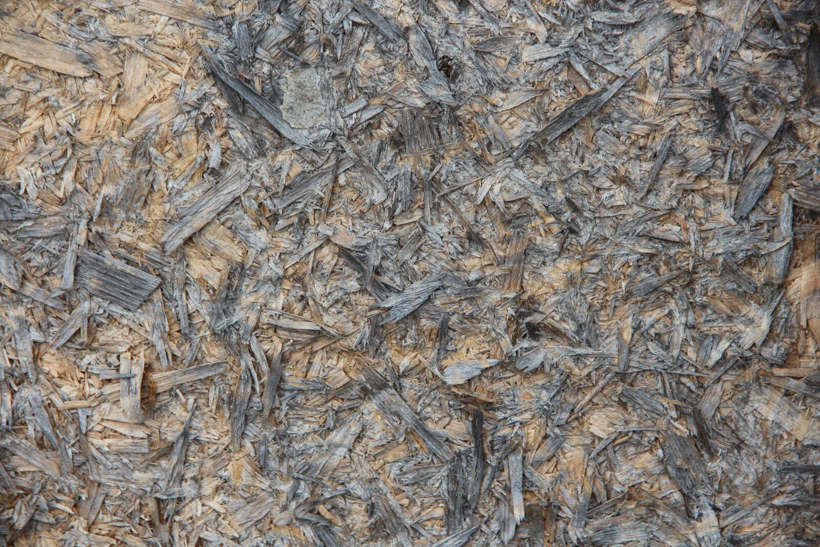 Canon EOS 650D (EOS Rebel T4i / EOS Kiss X6i) sample photo. Cpd, building materials, background photography