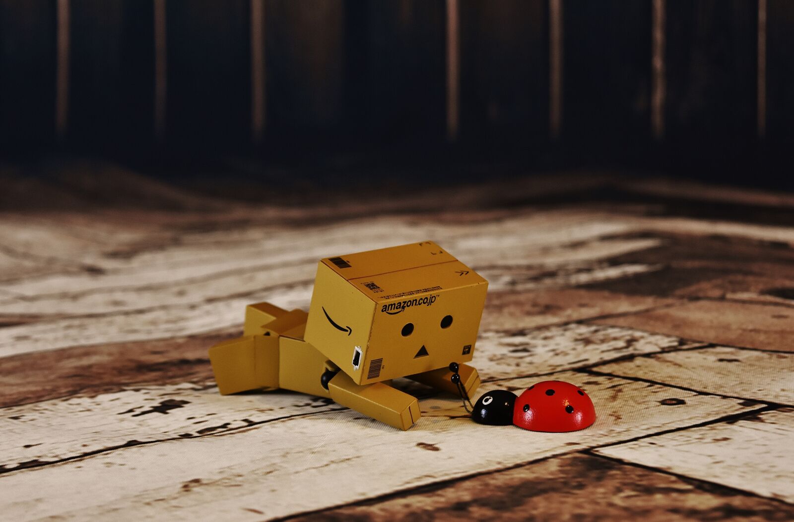 Nikon D7200 sample photo. Danbo, lucky ladybug, good photography