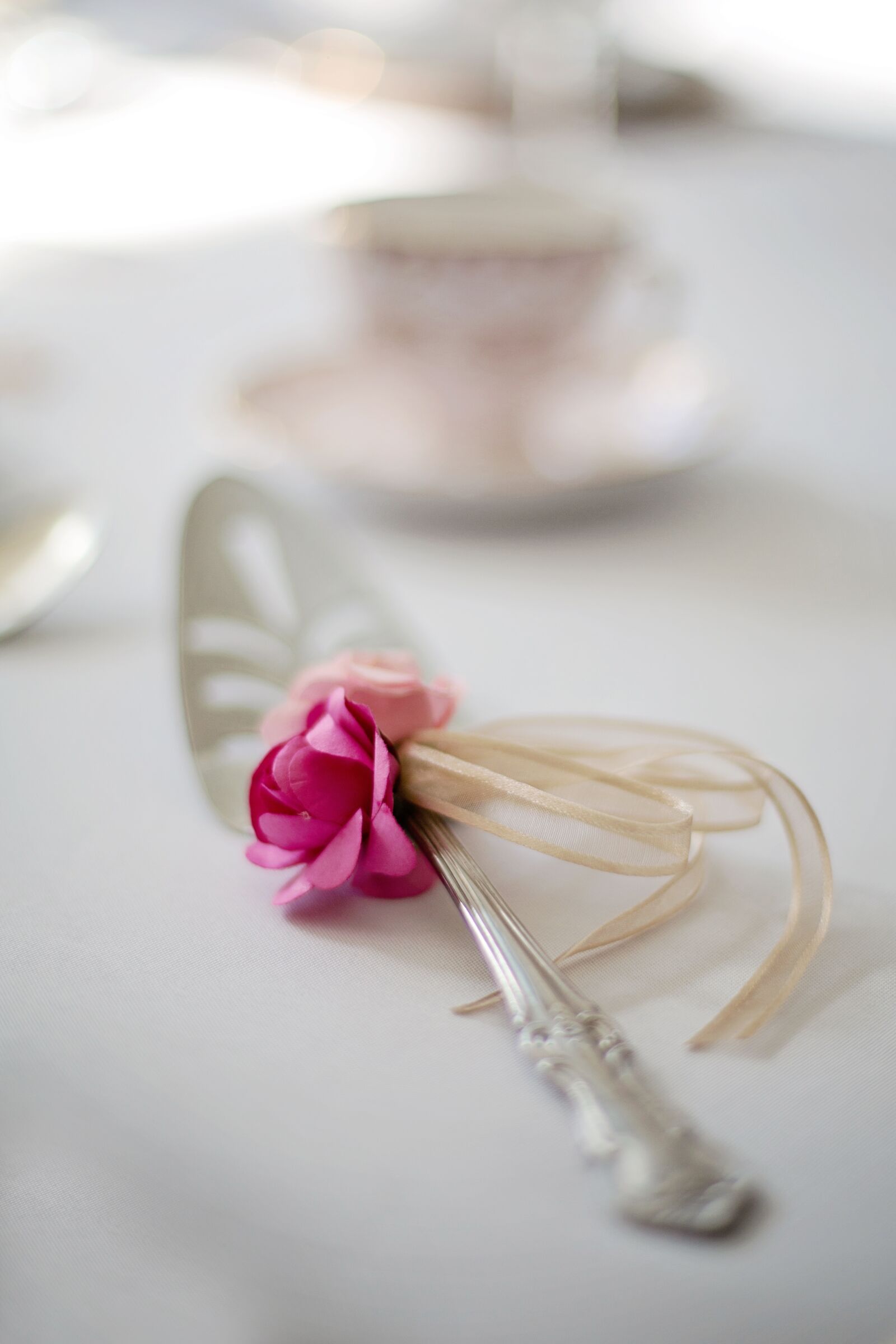 Canon EF 50mm F1.4 USM sample photo. Wedding, cake server, silver photography