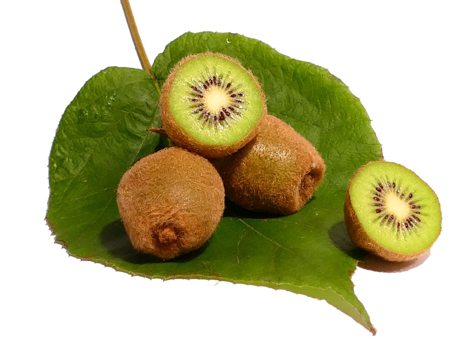 Panasonic Lumix DMC-FZ1000 sample photo. Kiwi, fruit, vitamins photography