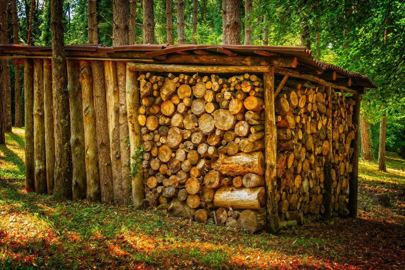 Nikon D3300 sample photo. Wood, stack, firewood photography