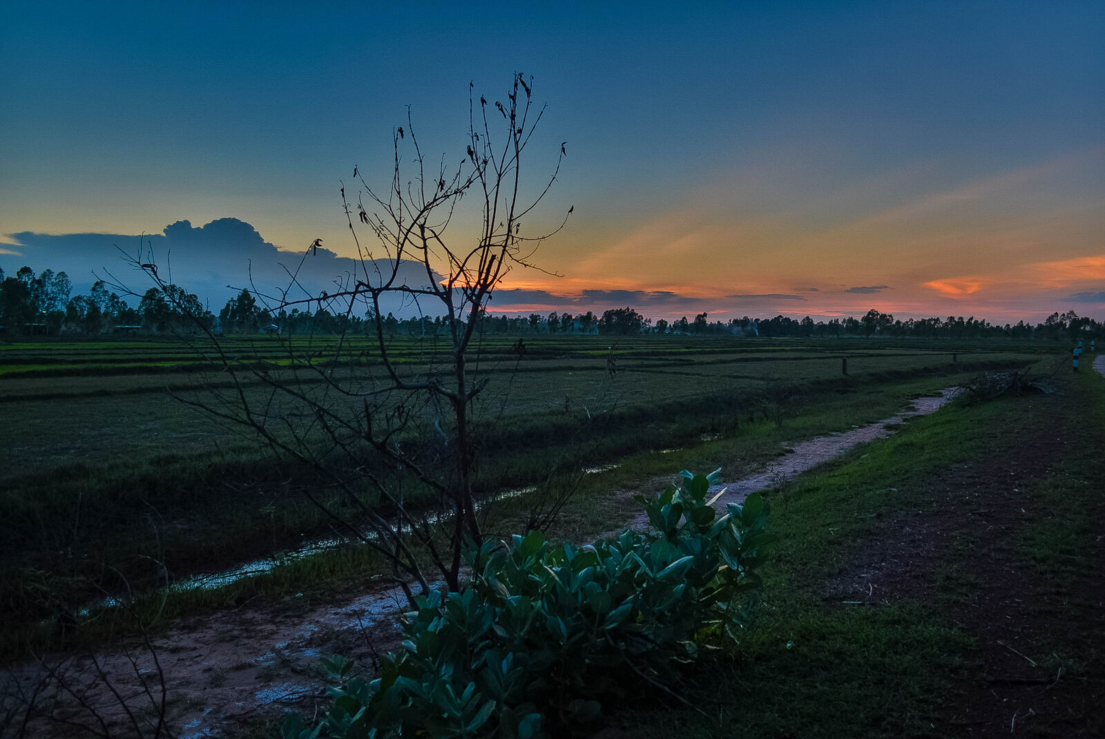 Nikon D5200 sample photo