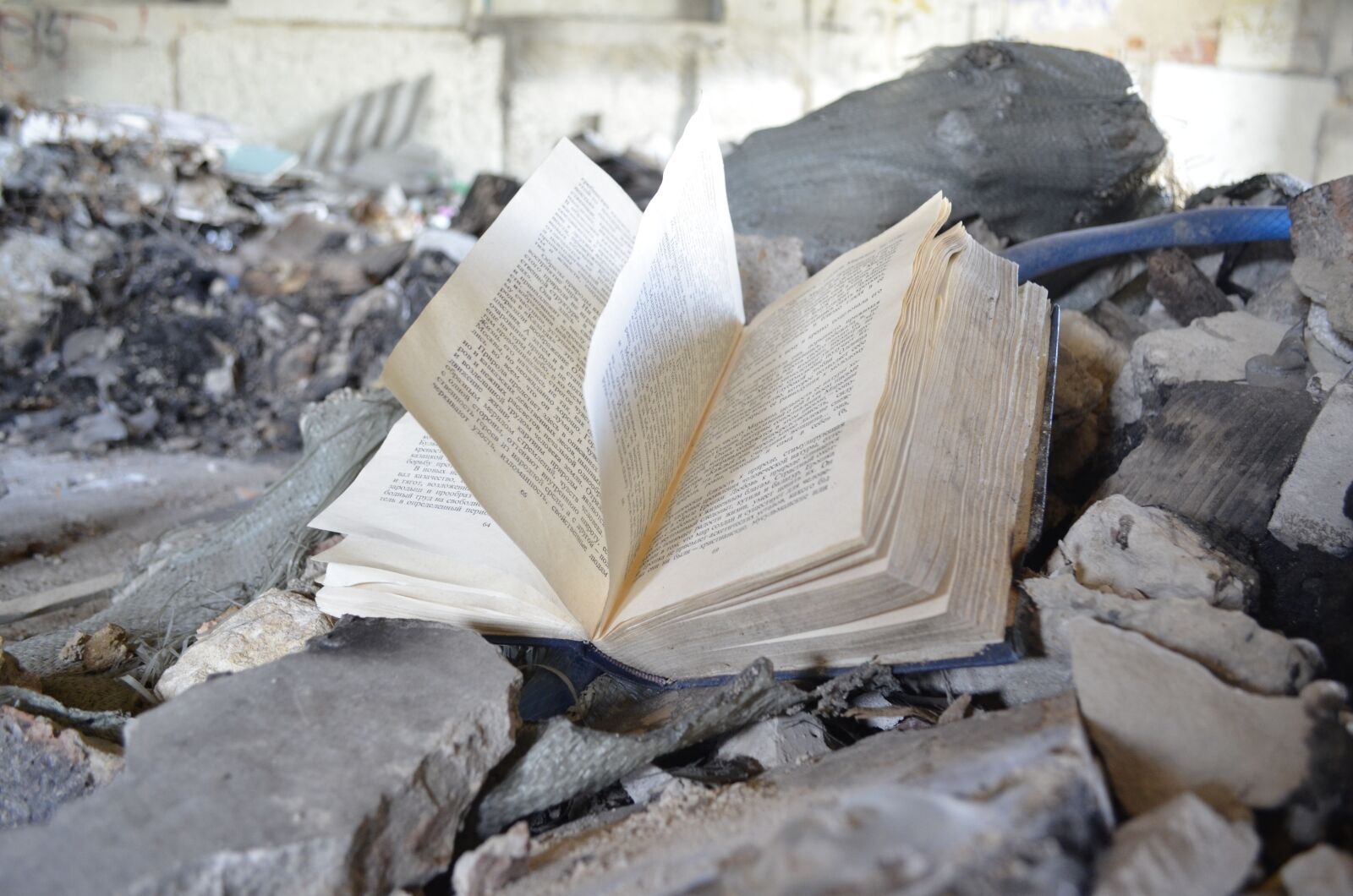 Nikon D5100 sample photo. Book, abandoned book, garbage photography