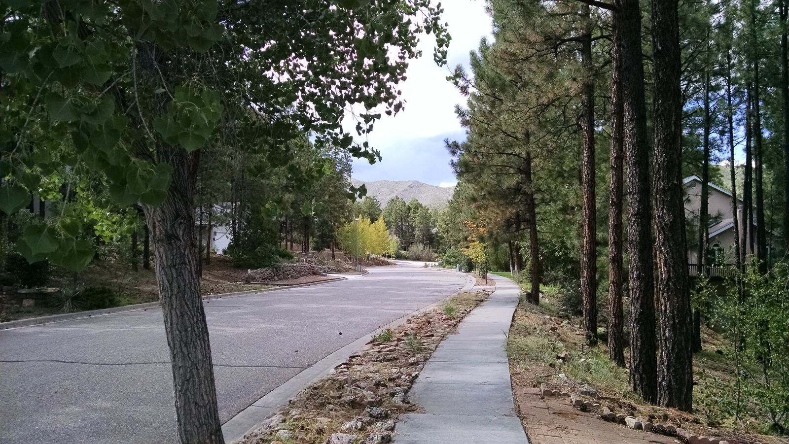 Motorola XT1080 sample photo