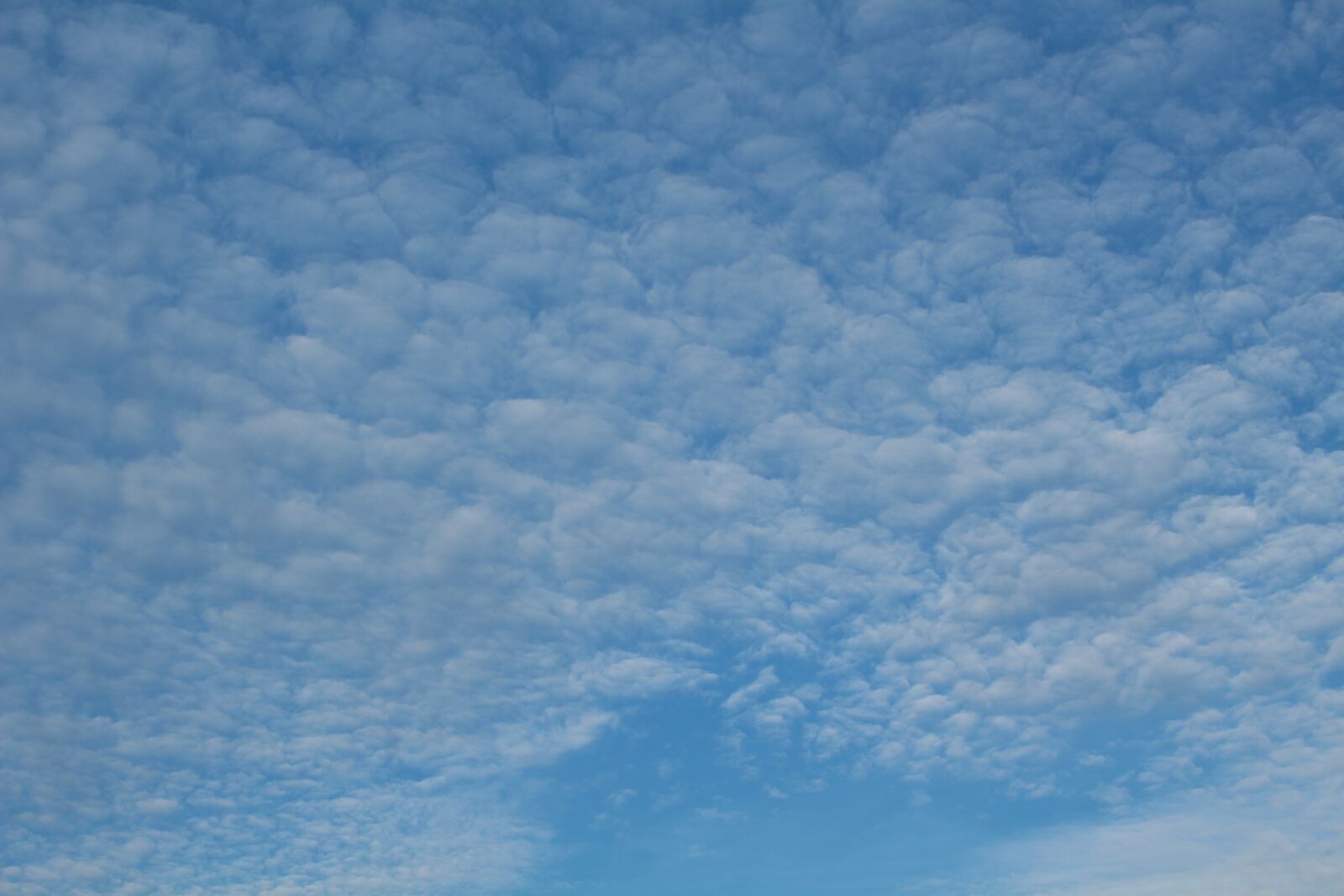 Canon EOS 100D (EOS Rebel SL1 / EOS Kiss X7) sample photo. Sky, cloud, landscape photography