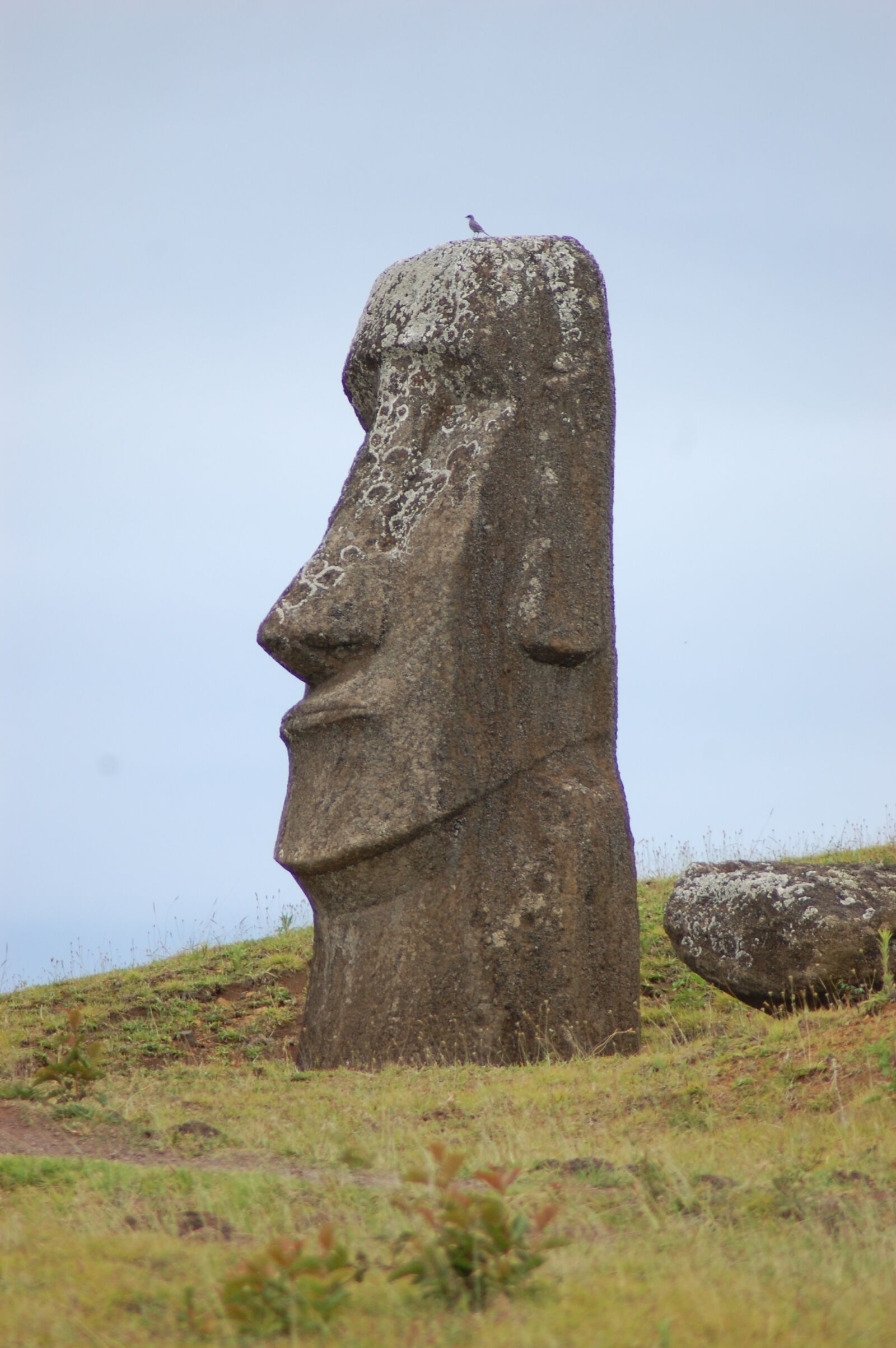 Nikon D40 sample photo. Easter island, rapa nui photography