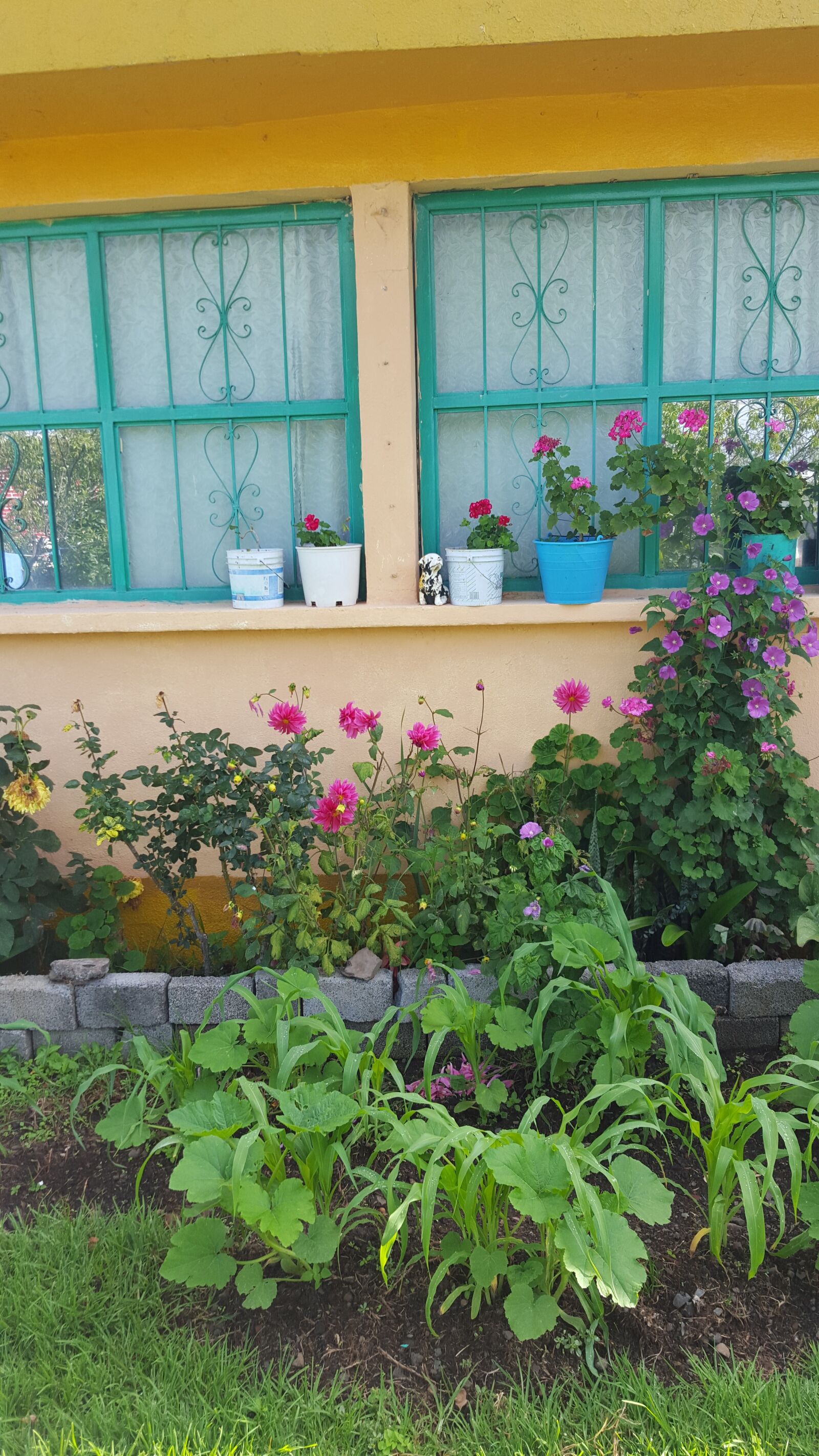 Samsung Galaxy S6 sample photo. Pueblo, mexicanhouse photography