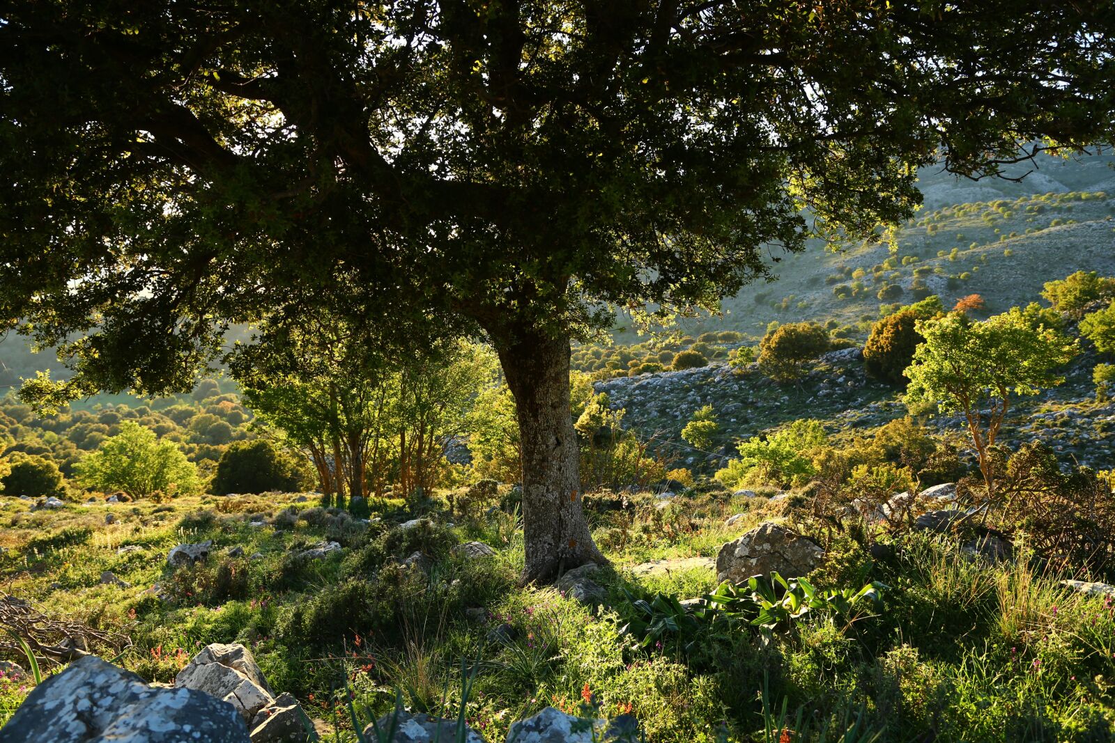 Canon EOS 6D + Canon EF 24-105mm F4L IS USM sample photo. Crete, mountains photography