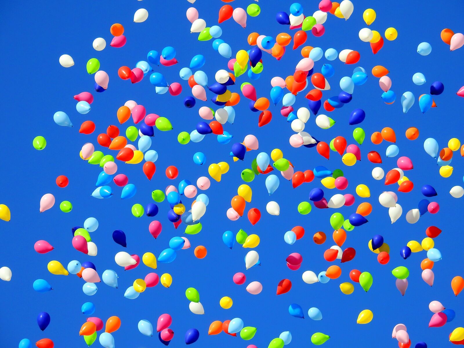 Nikon Coolpix P900 sample photo. Balloon, party, carnival photography