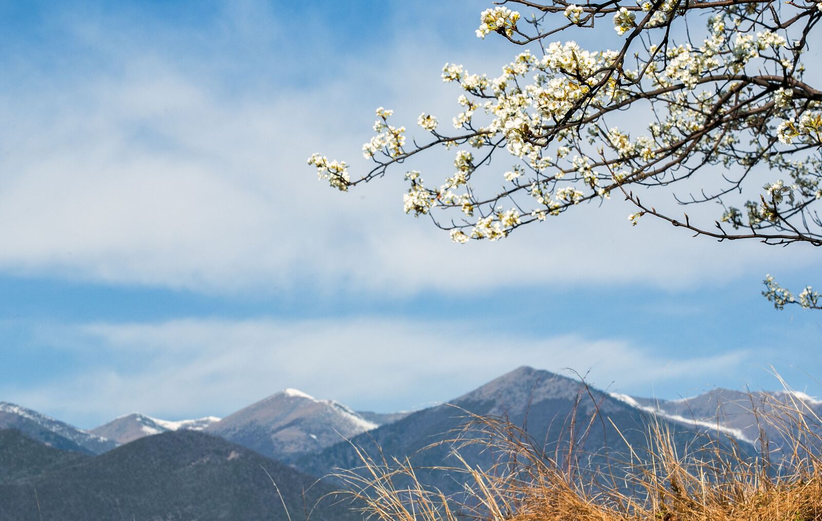 Canon EOS 5D Mark III sample photo. Scenery, travel, season photography