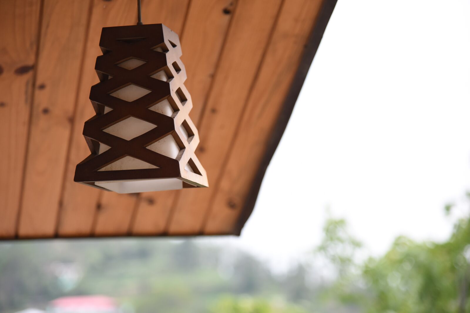 Nikon D810 sample photo. Light, nature, holidays photography