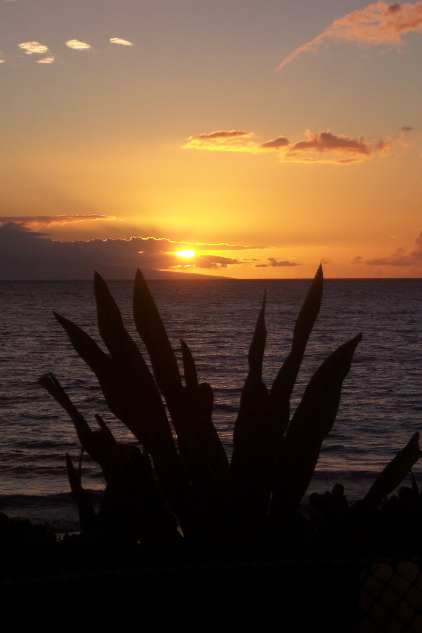 Kodak DX4530 ZOOM DIGITAL CAMERA sample photo. Hawaiian, sunset, maui photography