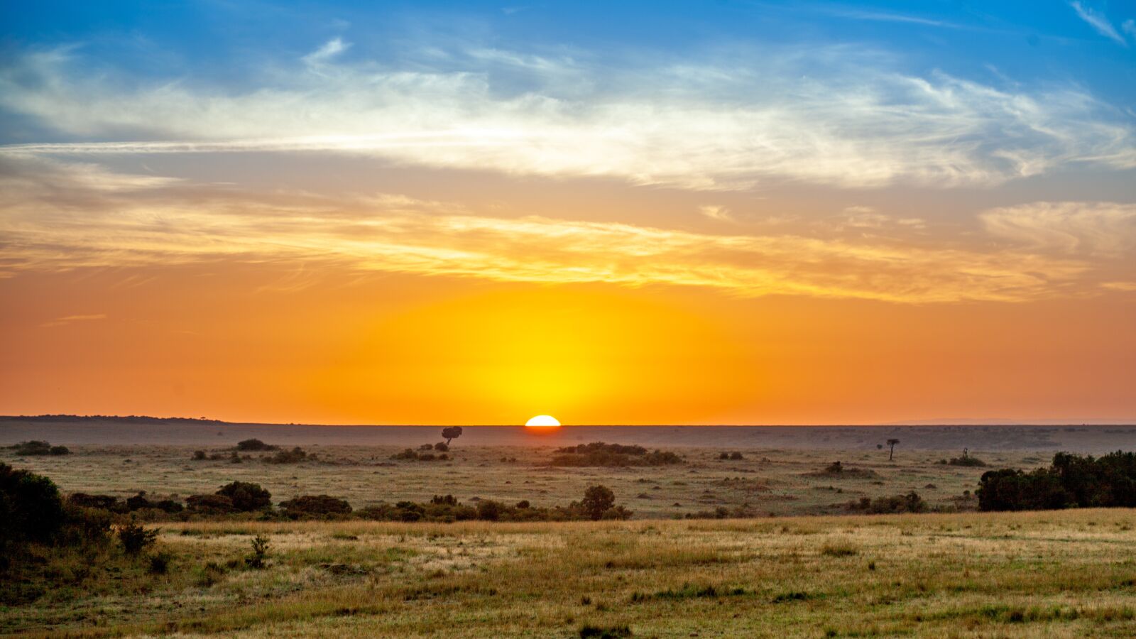 Canon EOS 5D Mark II sample photo. Sunset, savannah, kenya photography
