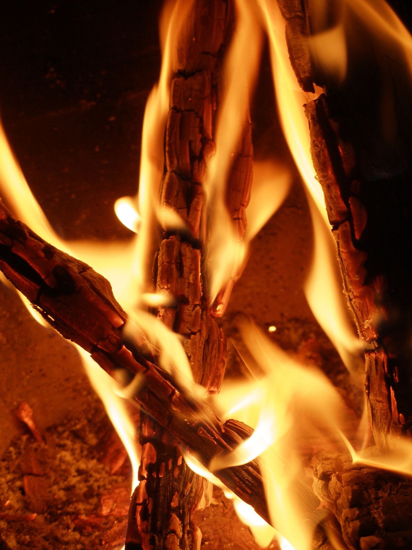 Olympus C70Z,C7000Z sample photo. Campfire, fire, burn photography