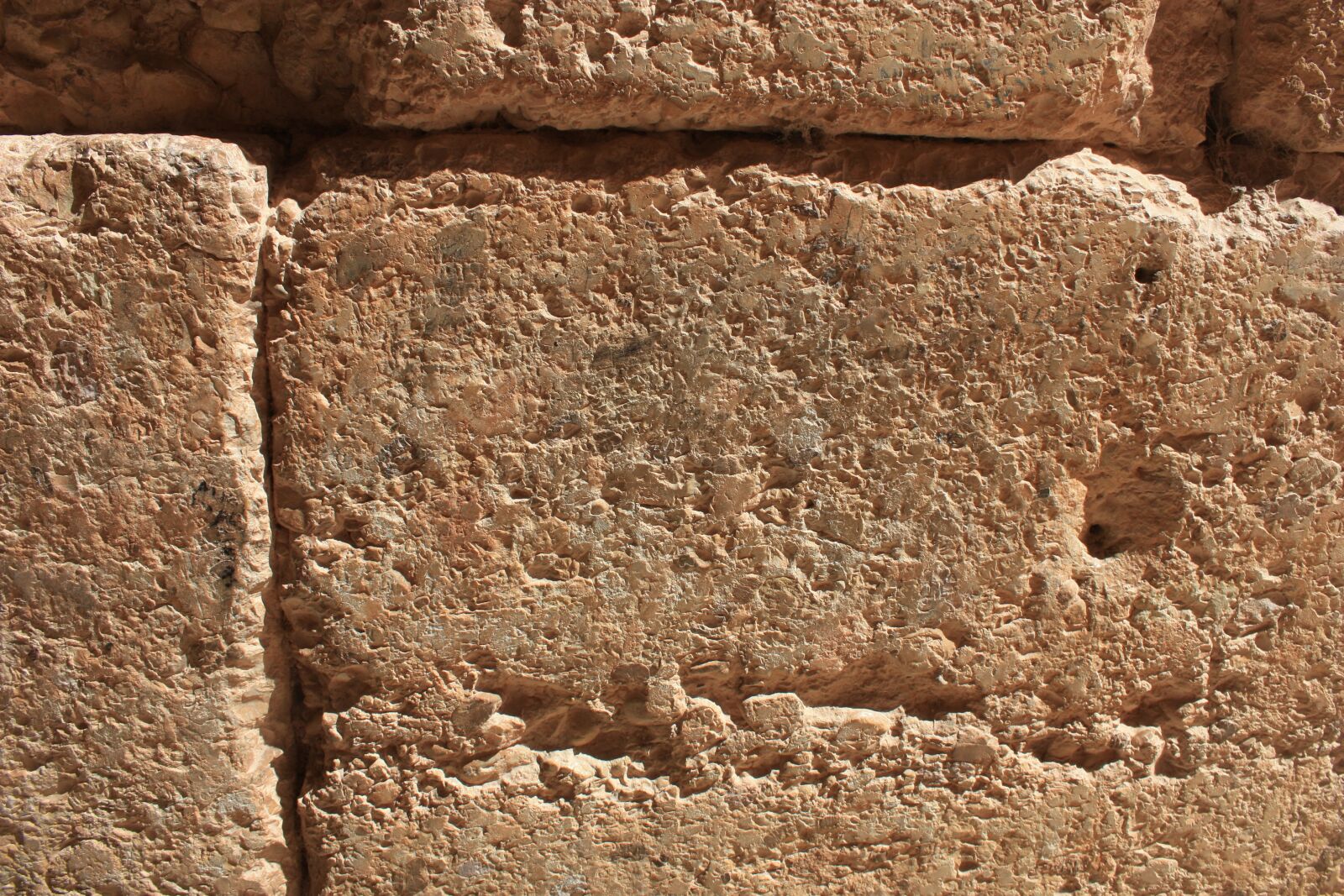 Canon EOS 450D (EOS Rebel XSi / EOS Kiss X2) sample photo. Wall, stone, ancient photography