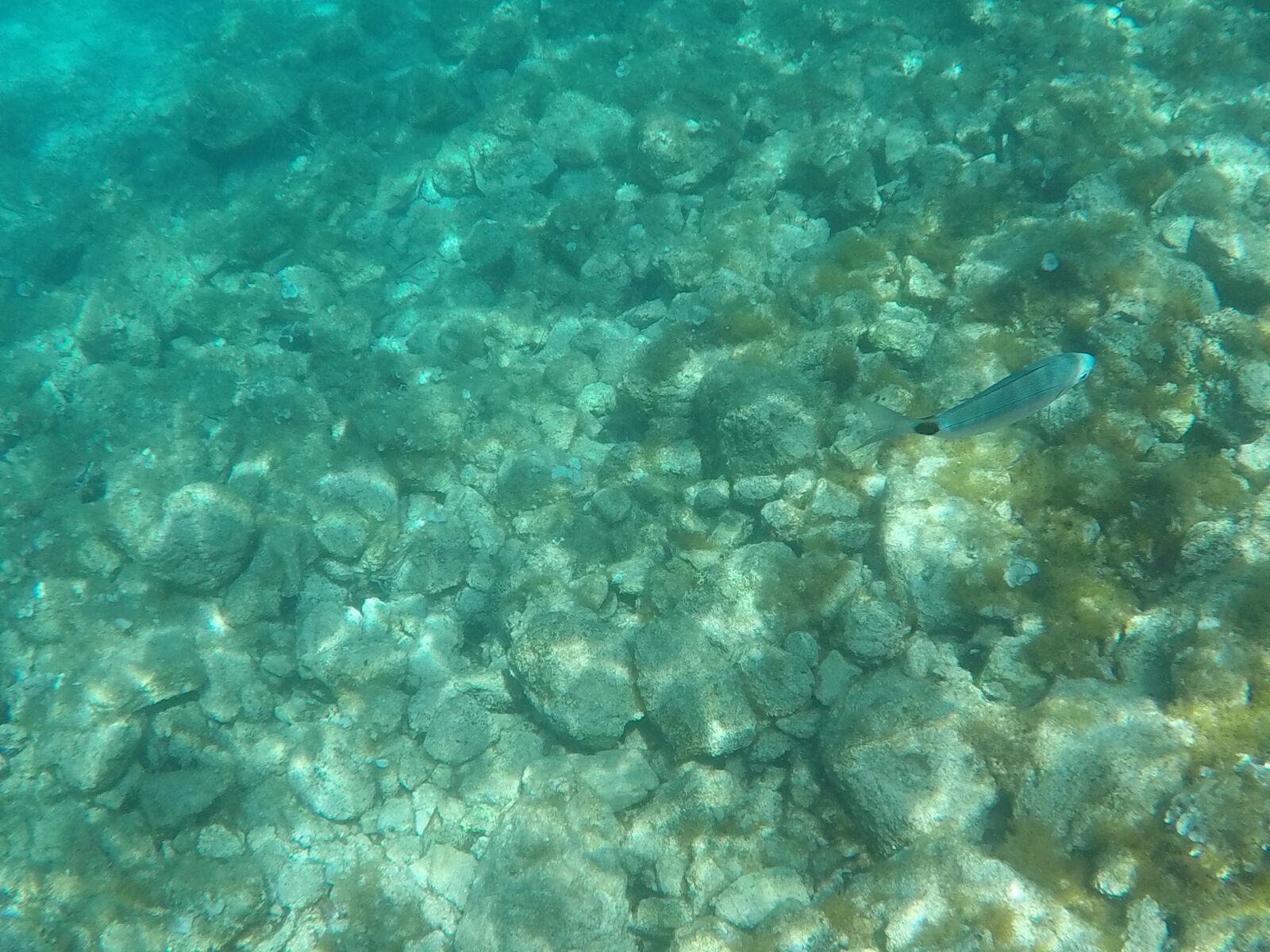 GoPro Hero5 Black sample photo. Sea, stones, shells photography
