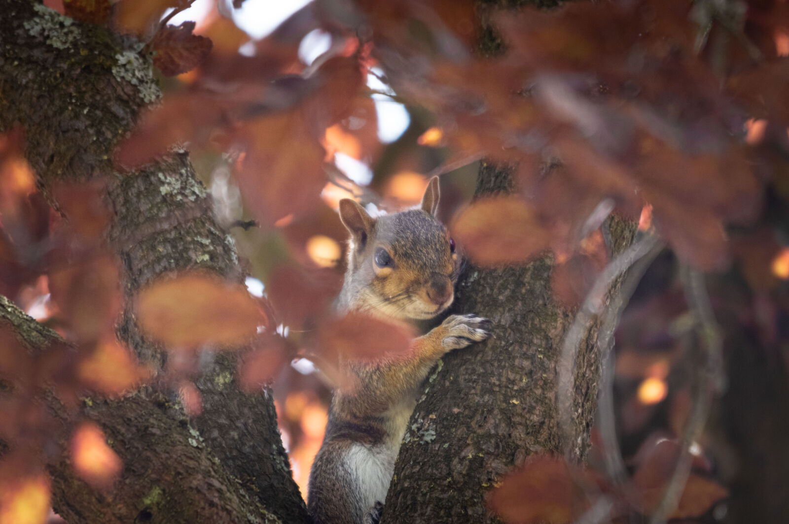Pentax K-3 sample photo