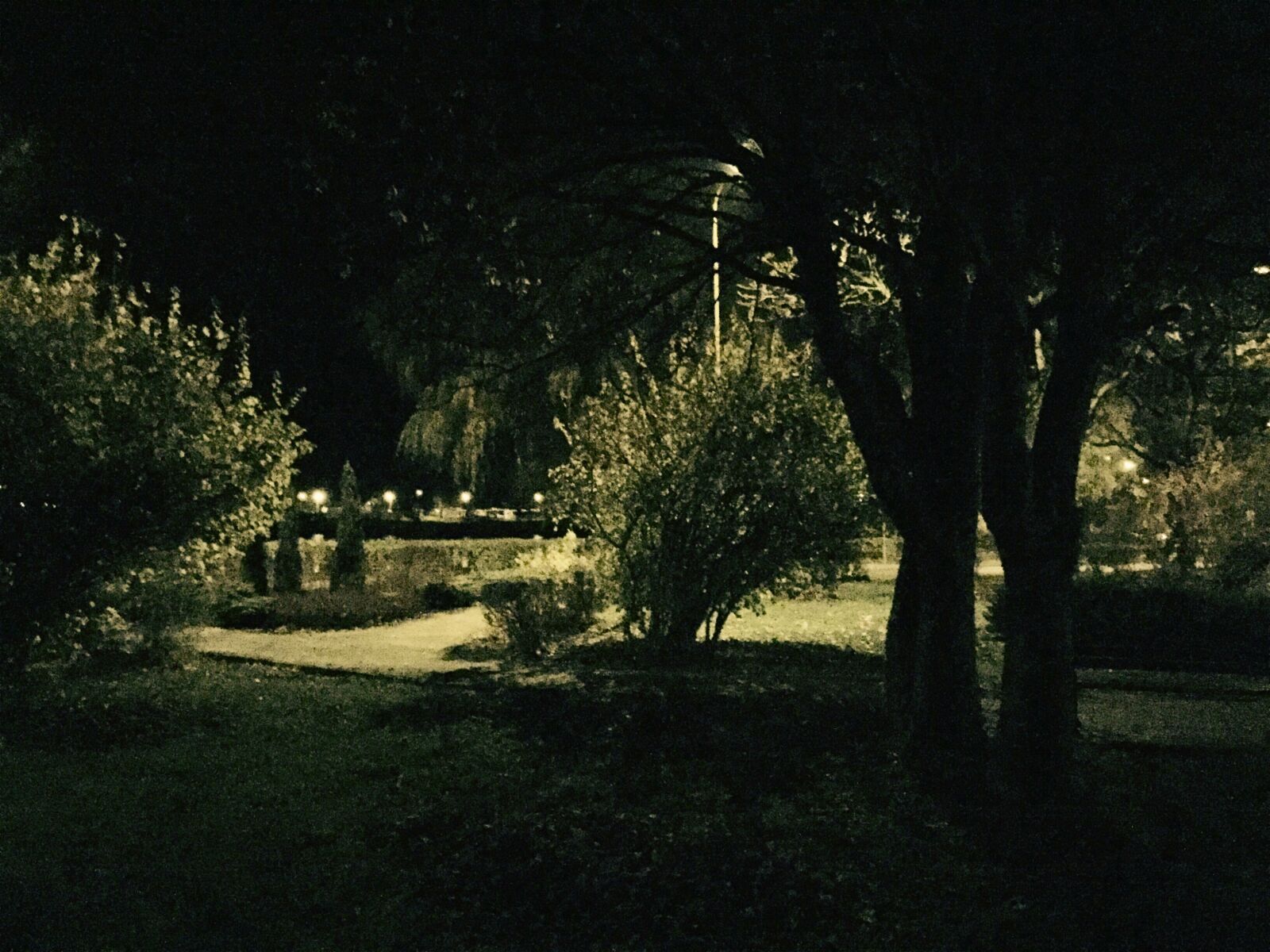 Apple iPhone 6 sample photo. Night photography