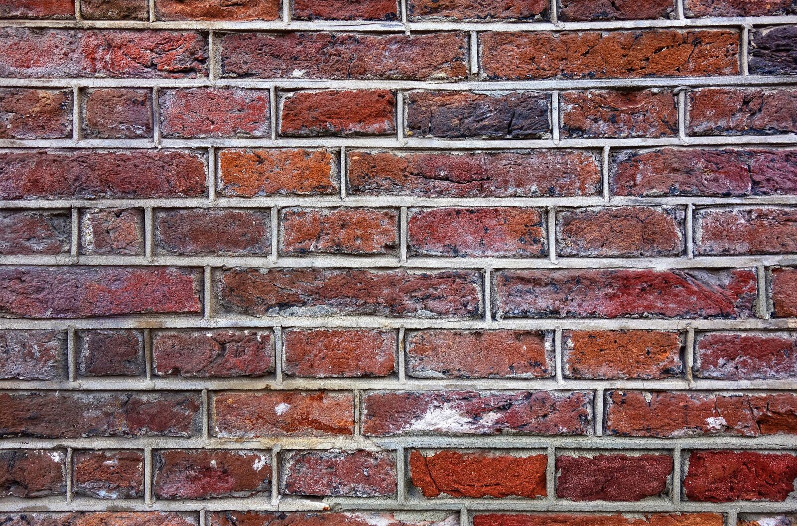 Sony Cyber-shot DSC-RX100 sample photo. Brick wall, wall, brick photography