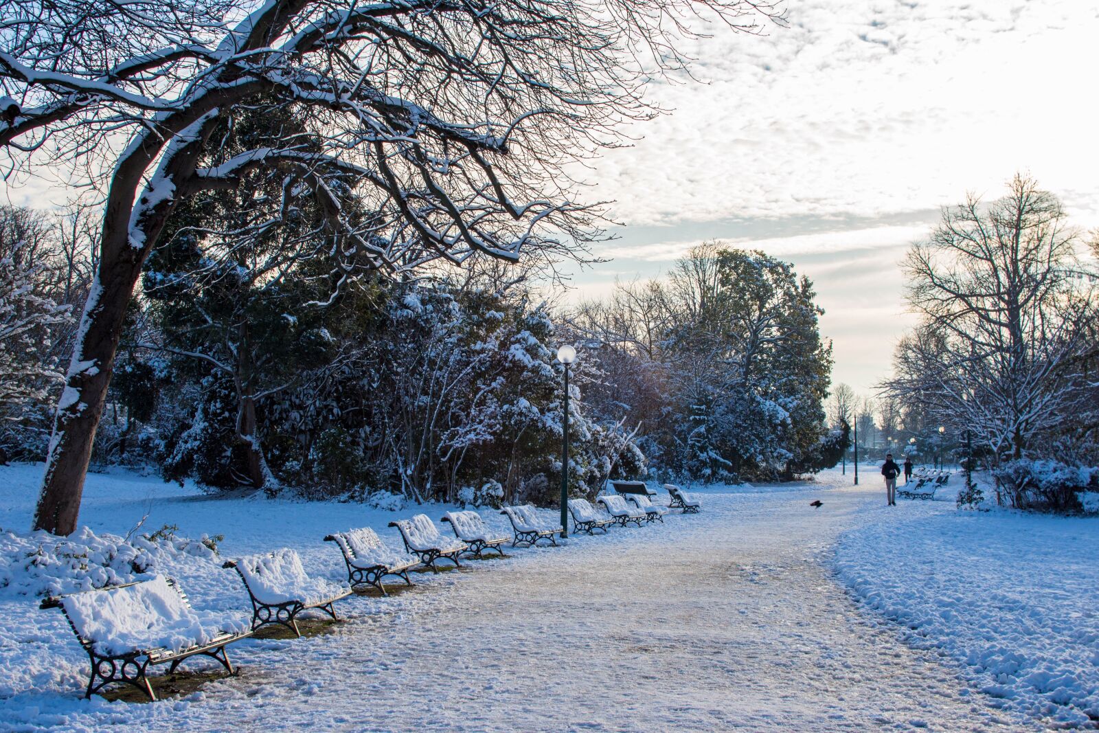 Canon EOS 650D (EOS Rebel T4i / EOS Kiss X6i) sample photo. Snow, paris, winter photography