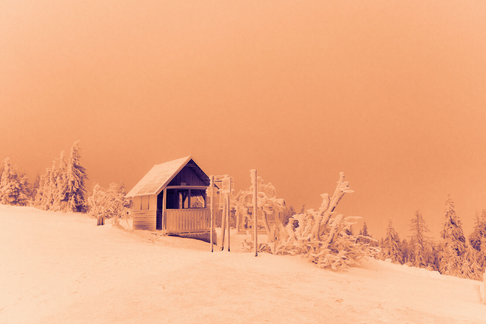 Sony Cyber-shot DSC-RX10 sample photo. Hill, journey, orange, pink photography