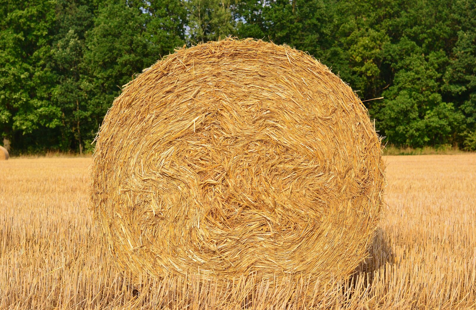 Nikon D5200 sample photo. Harvest, straw bales, agriculture photography