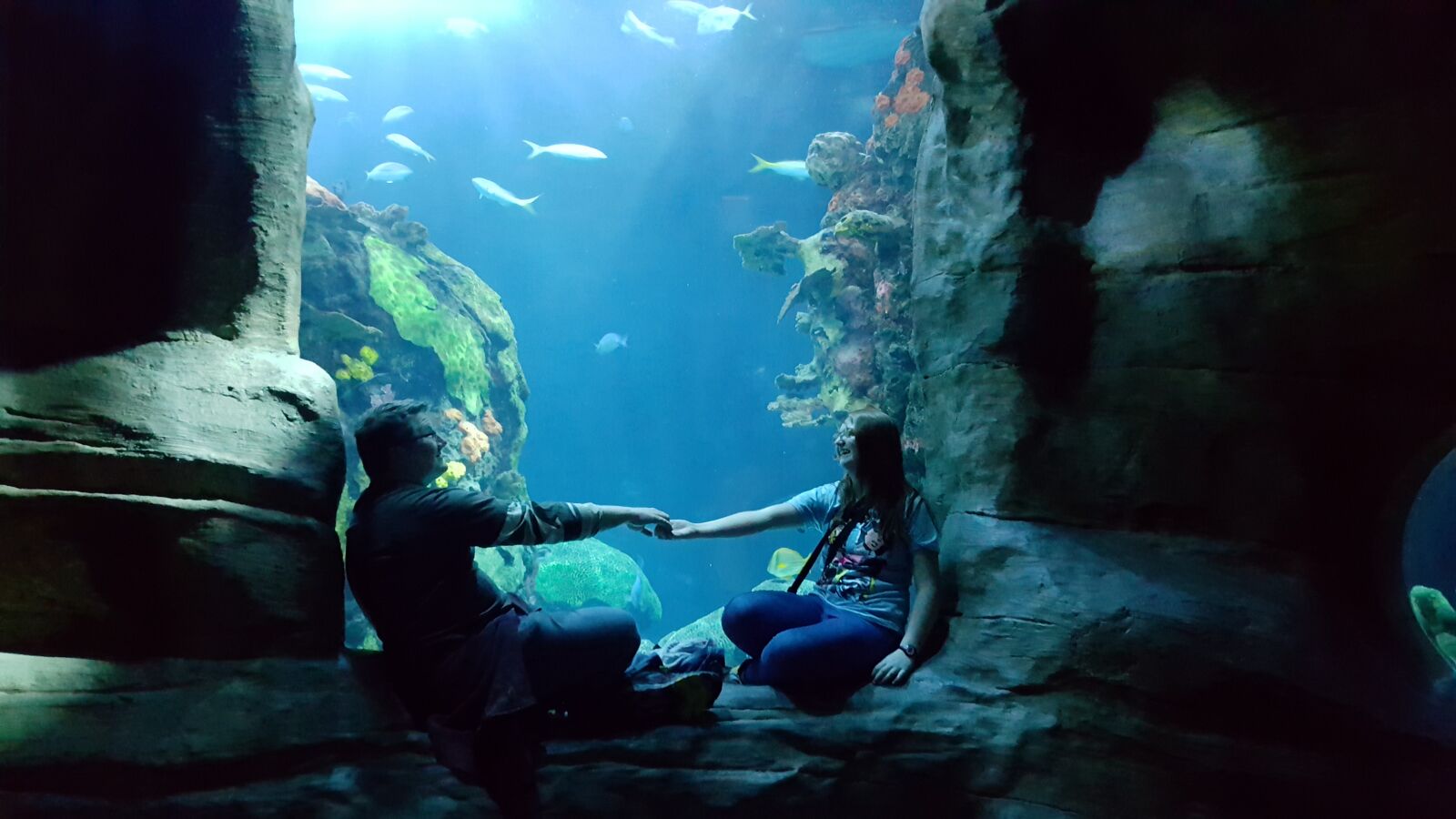 Samsung Galaxy S6 sample photo. Aquarium, hands, touch, undersea photography