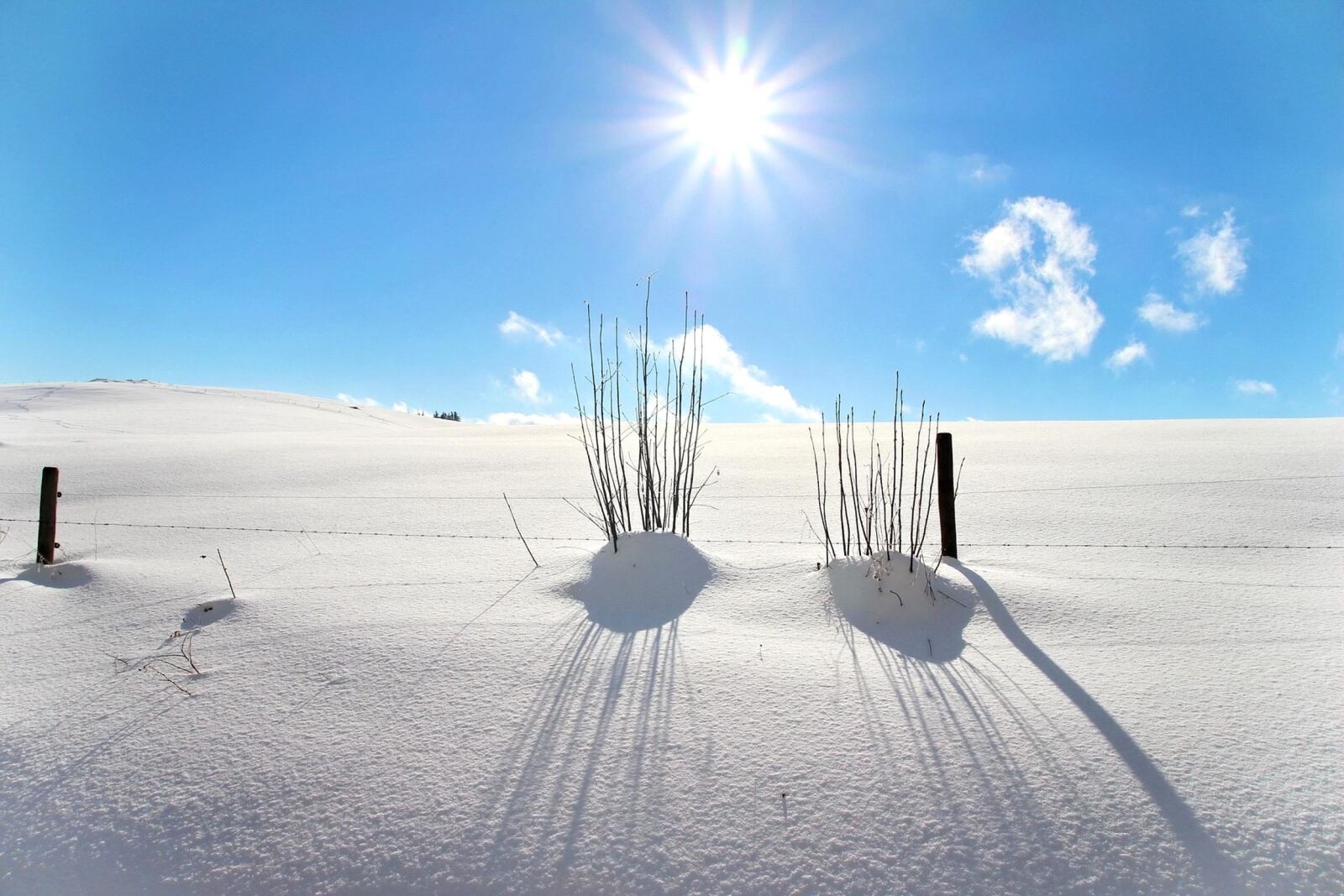 Canon EOS 600D (Rebel EOS T3i / EOS Kiss X5) sample photo. Snow, winter, frost, cold photography