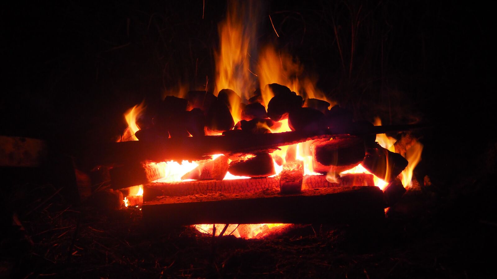 Olympus OM-D E-M10 sample photo. Flame, fire, yellow photography
