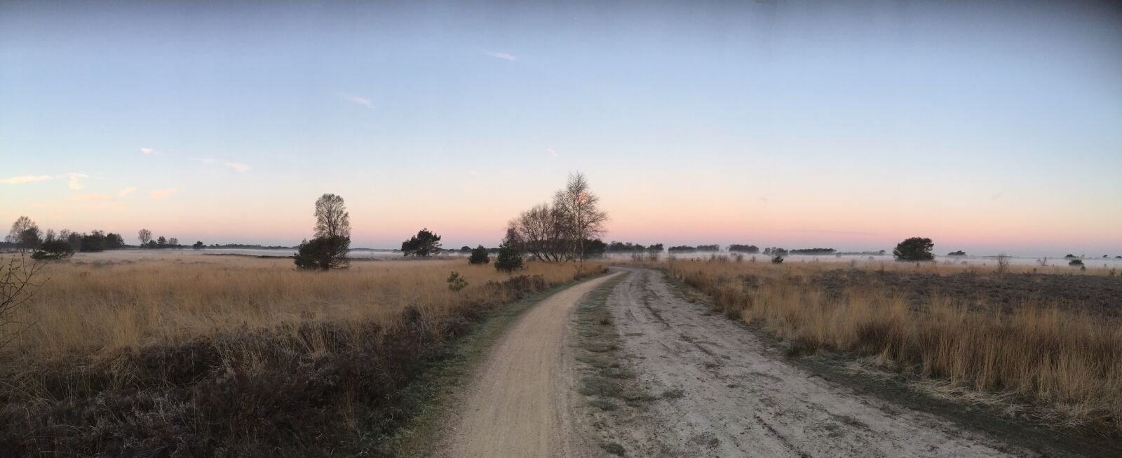 Apple iPhone 6 sample photo. Heide, nature, landscape photography