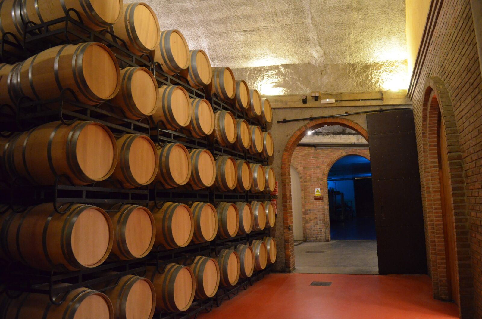 Nikon D5100 sample photo. Bodega, vino, wine photography