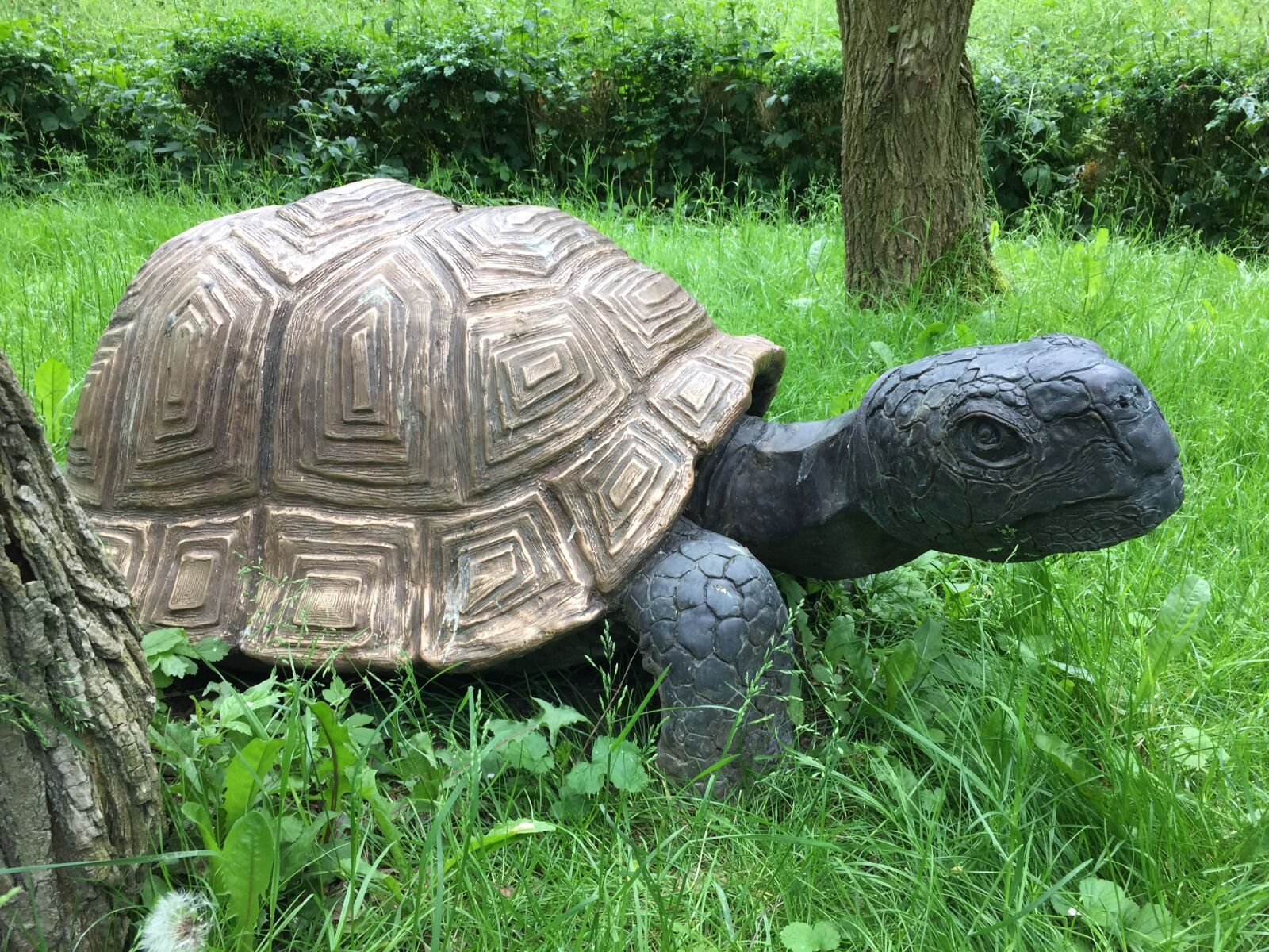 Apple iPhone 6 sample photo. Turtle, figure, old photography