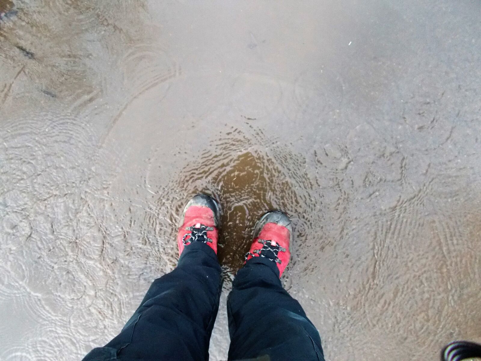 Nikon Coolpix L31 sample photo. Puddle, red, shoes, water photography