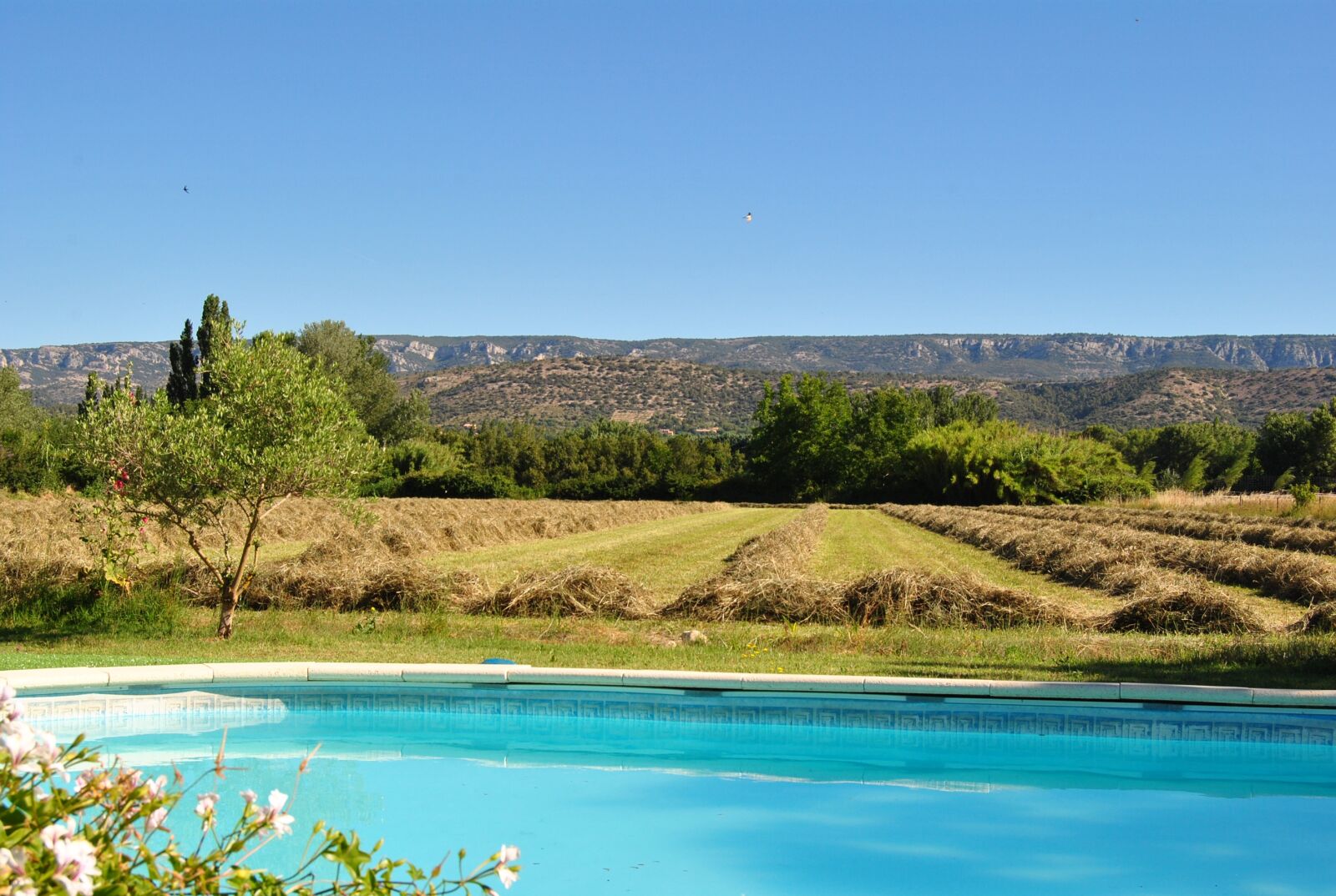 Nikon D3000 sample photo. Provence, lub ron, mallemort photography