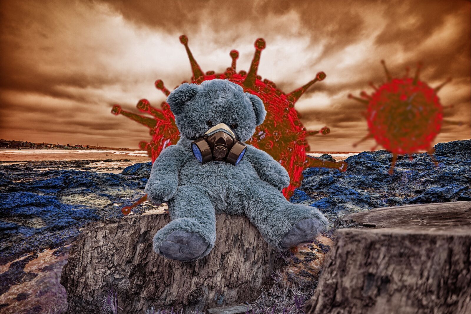 Nikon D600 sample photo. Bear, coronavirus, covid-19 photography
