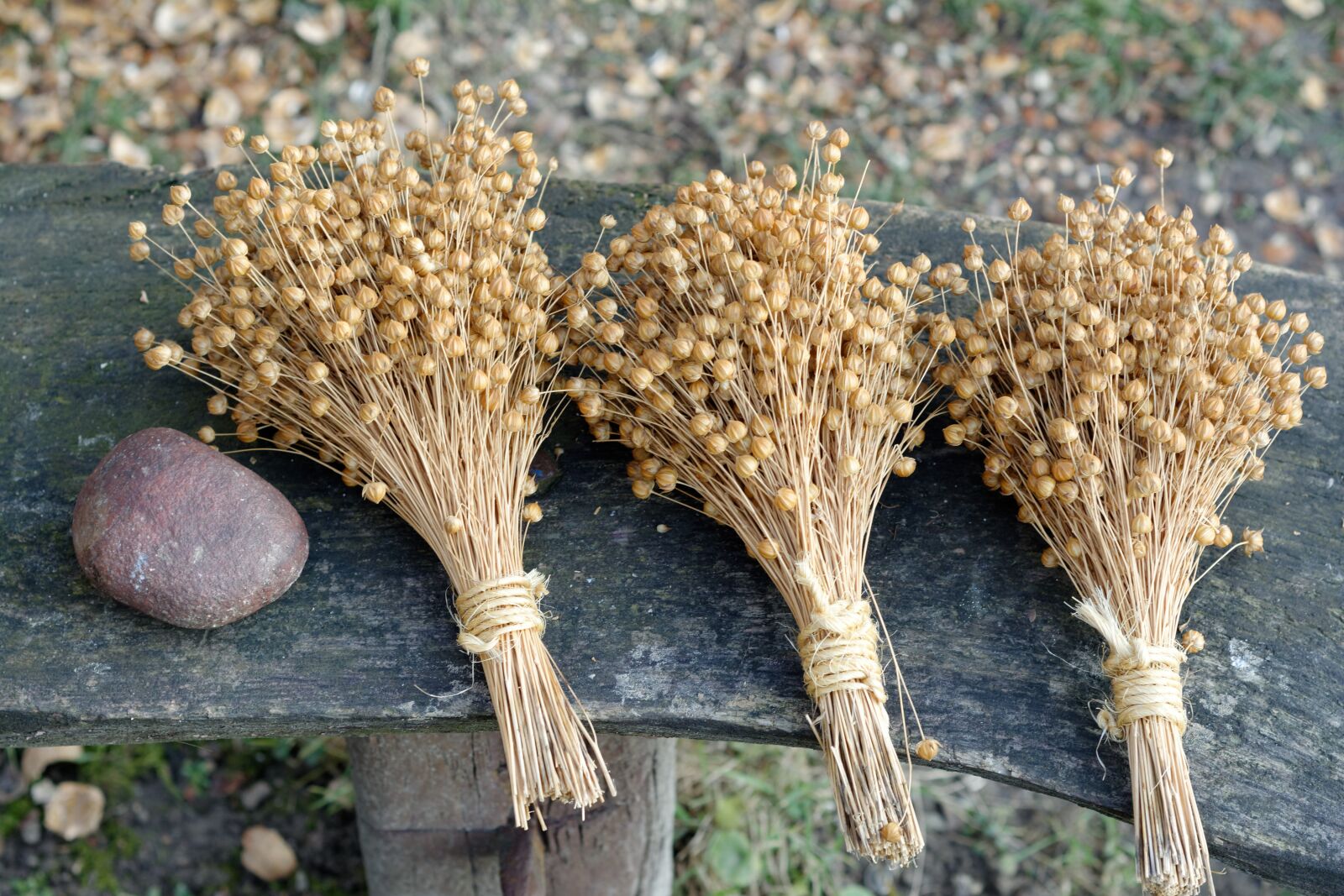 Nikon D5200 sample photo. Nature, flax, bouquet photography